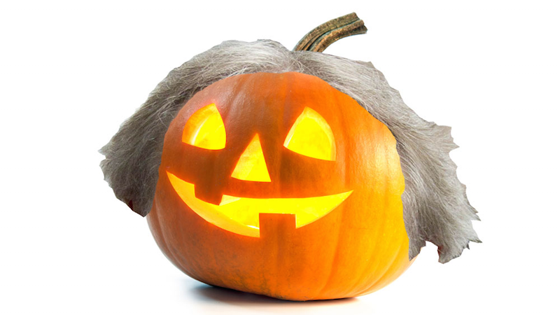 Illustration for article titled What Would Happen If We Put Lincoln Chafee's Hair On Different Autumnal Objects?